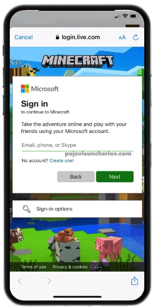 Sign in with your Minecraft account